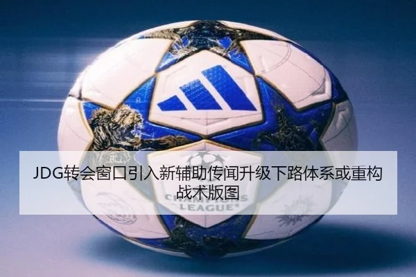 JDG转会窗口引入新辅助传闻升级下路体系或重构战术版图